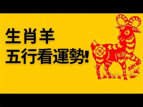 1979年五行屬什麼|1979年五行属什么？1979年出生是什么命？